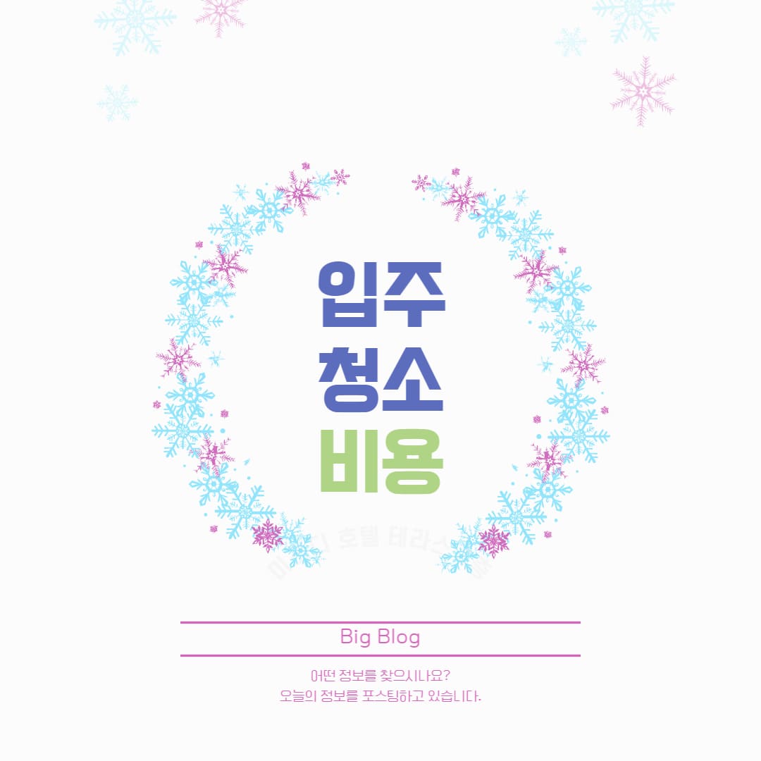 입주 청소 서비스 아줌마 비용