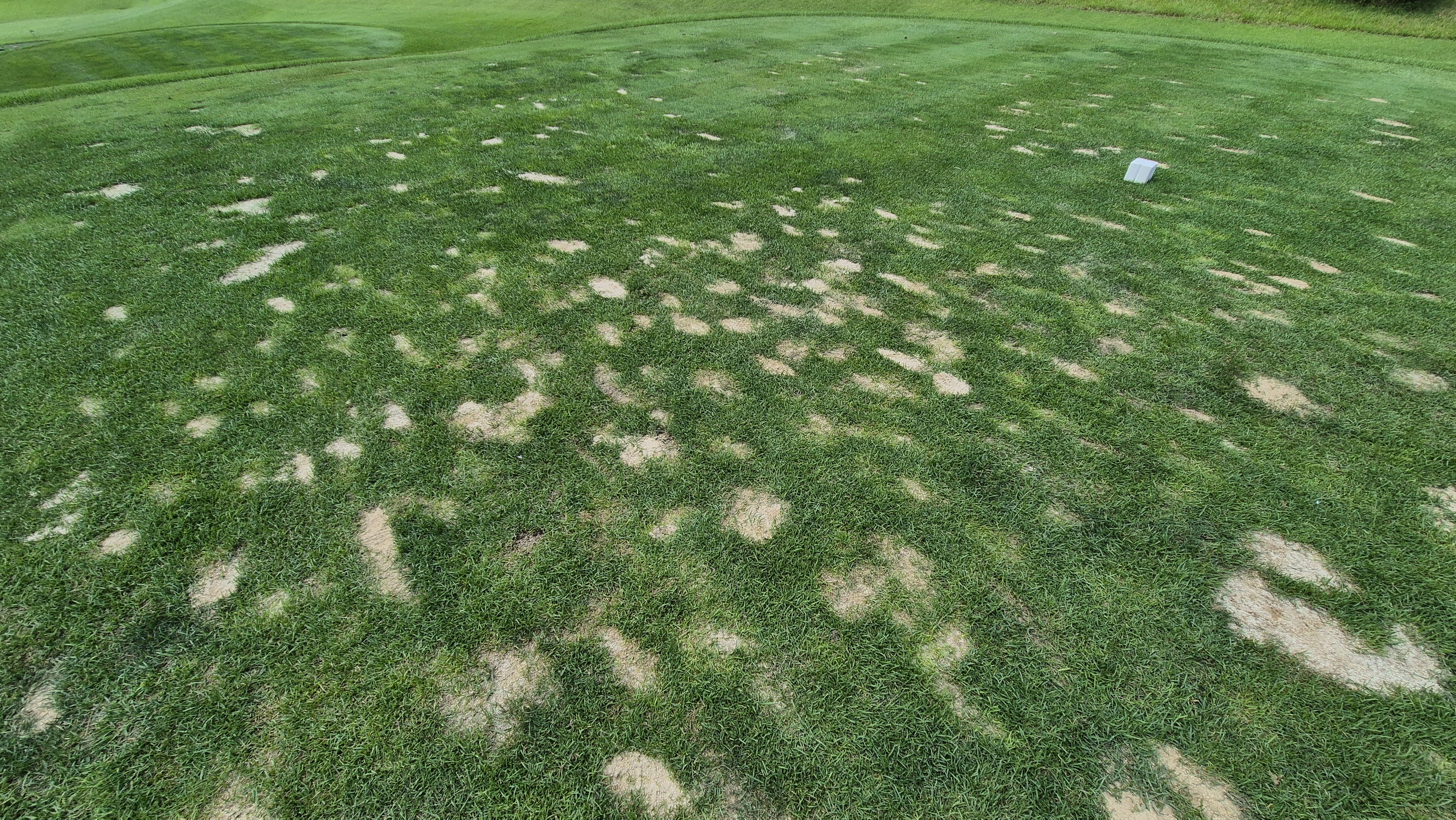 동원썬밸리cc 라운드 후기