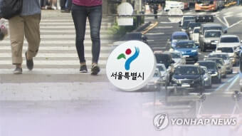 서울시 승용차 마일리지