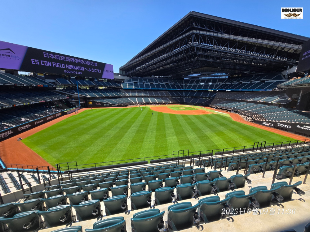 에스콘필드 천연잔디 야구 필드