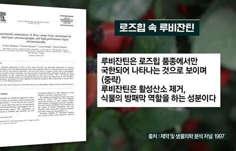 로즈힙 퓨레
