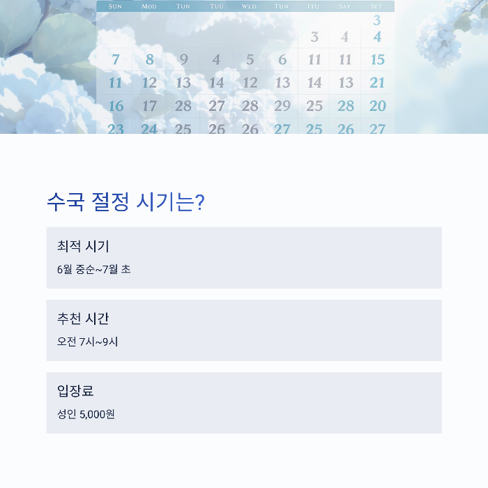 수국이 절정인 시기와 시간대