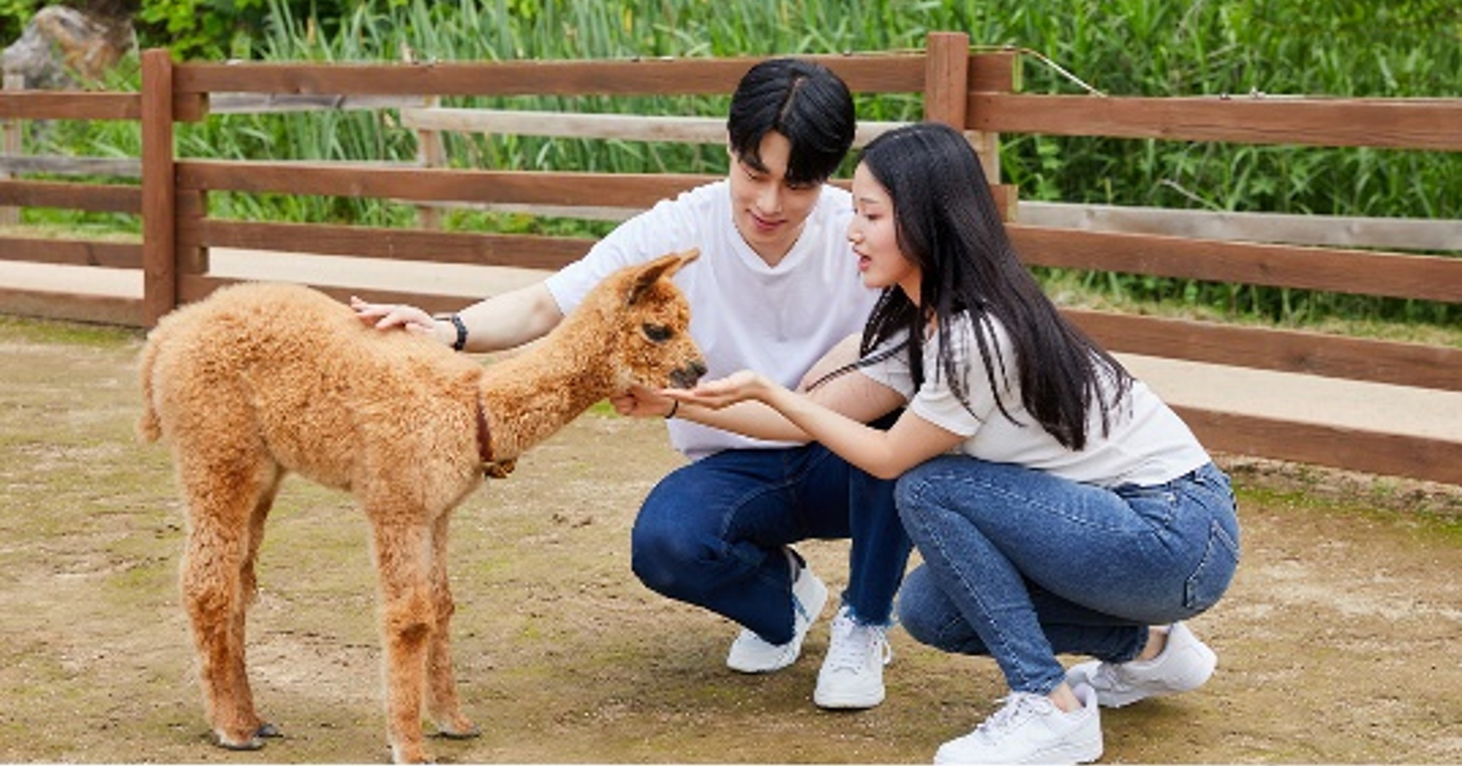 어린이날 가볼만한 곳 여행지 추천