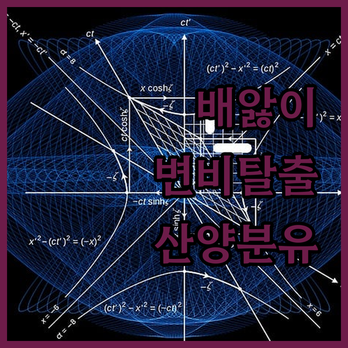 배앓이, 변비 걱정 끝! 일동후디스 ..