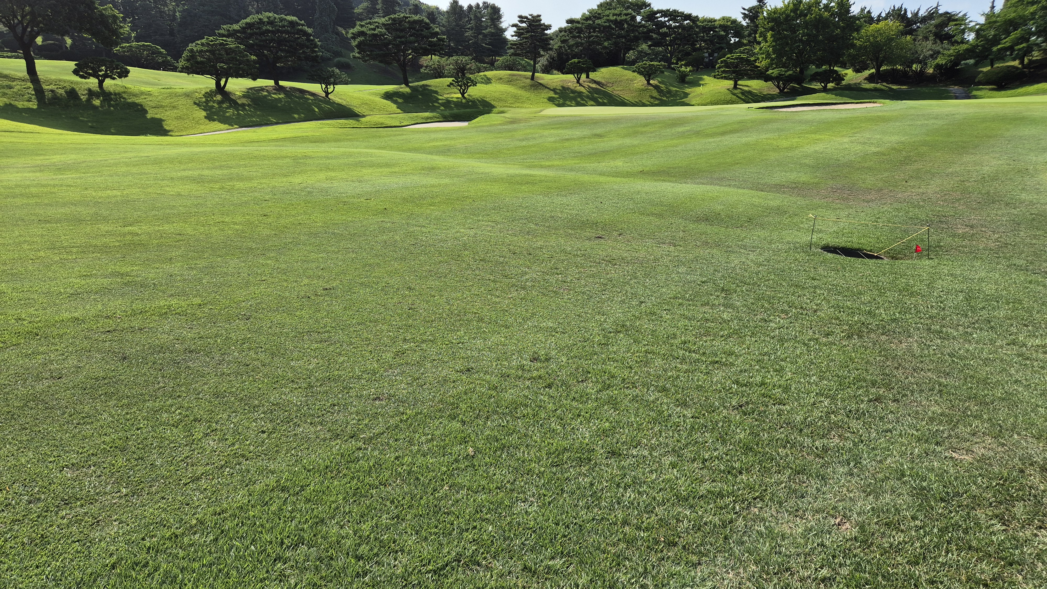 태광cc 북-서 코스 라운드 후기