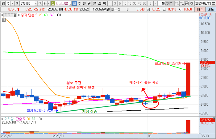 2월 13일 피코그램 일봉 차트 복기