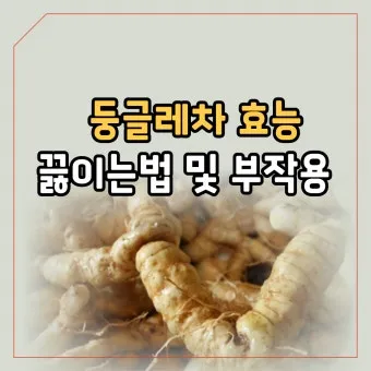둥글레차 효과 건강에 좋은 차 효능 정리_20