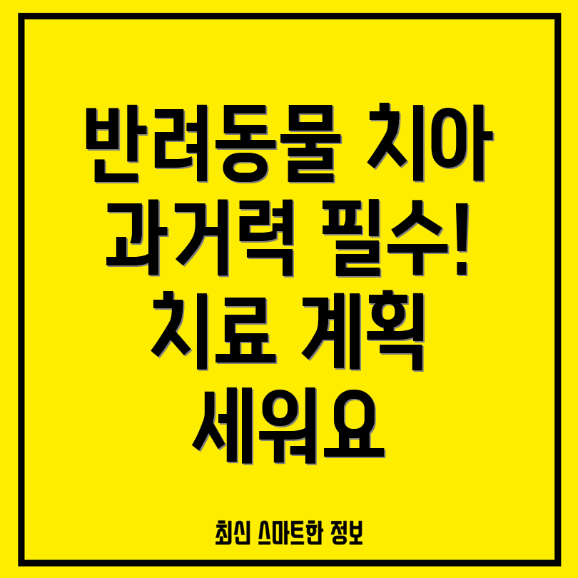 반려동물 치과 과거력