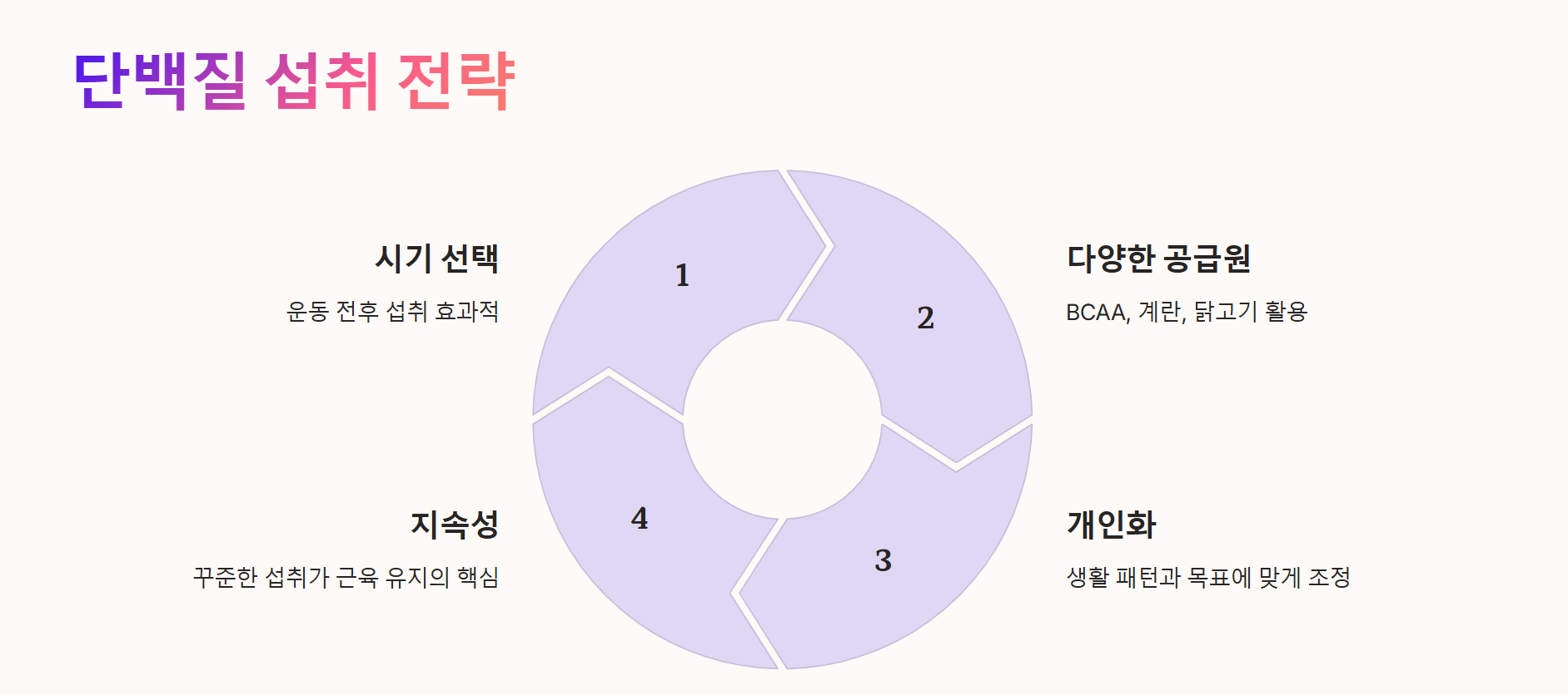 단백질 섭취 전략