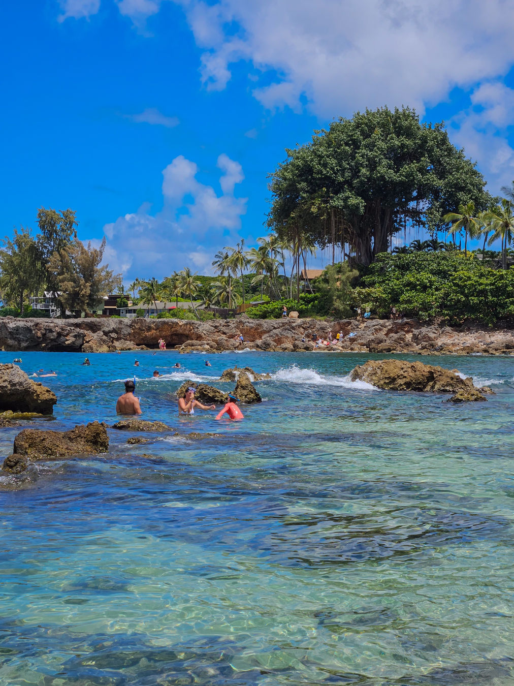 하와이 샥스코브