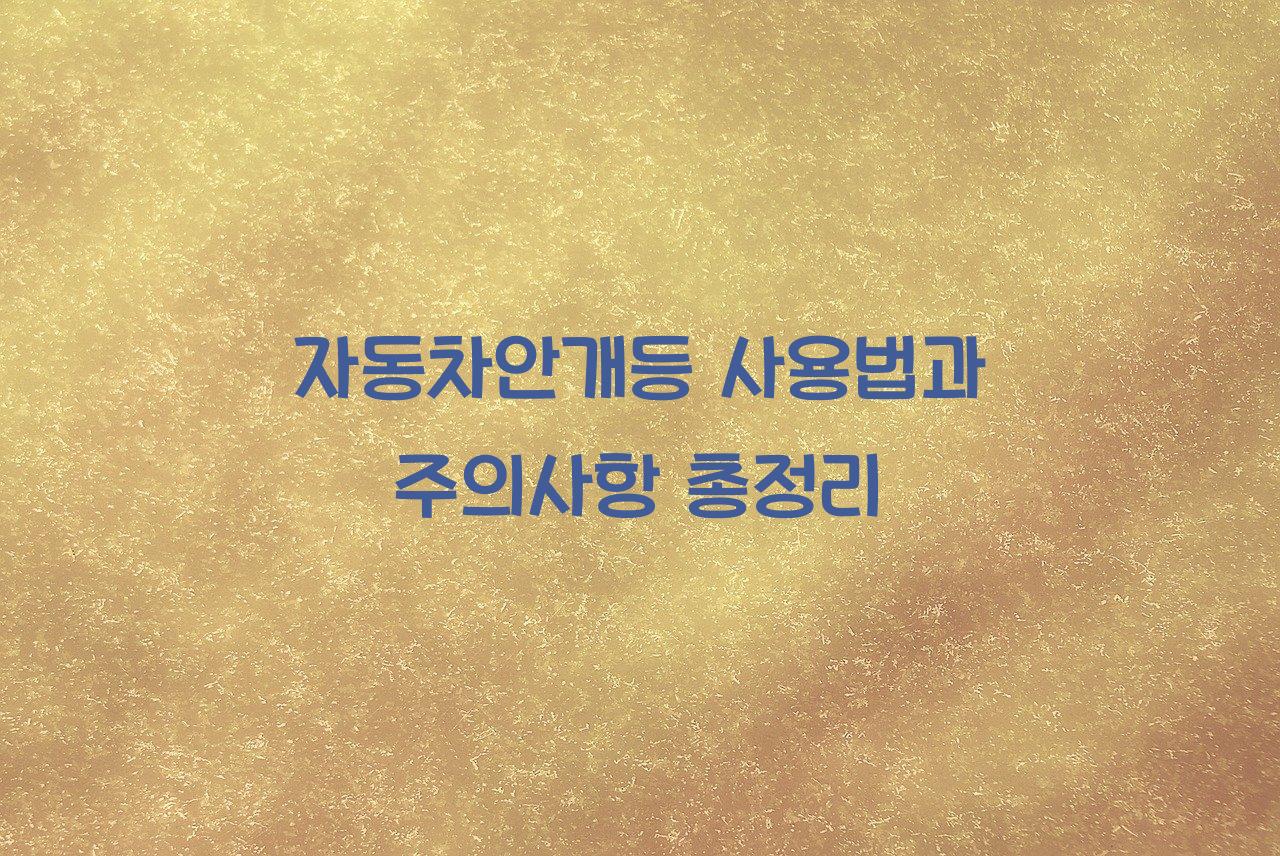 자동차안개등