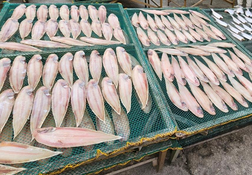 잘 말라가고 있는 6시내고향 대천항수산시장 반건조생선