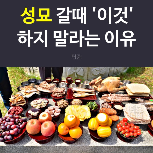성묘 갈때 음식,명절 성묘 음식,팁줌 매일꿀정보