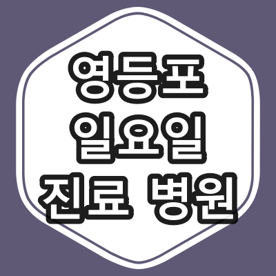 서울 영등포구 일요일 진료 하는 병원과 진료 시간