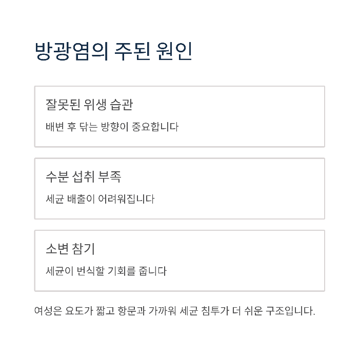 방광염 원인 대장균