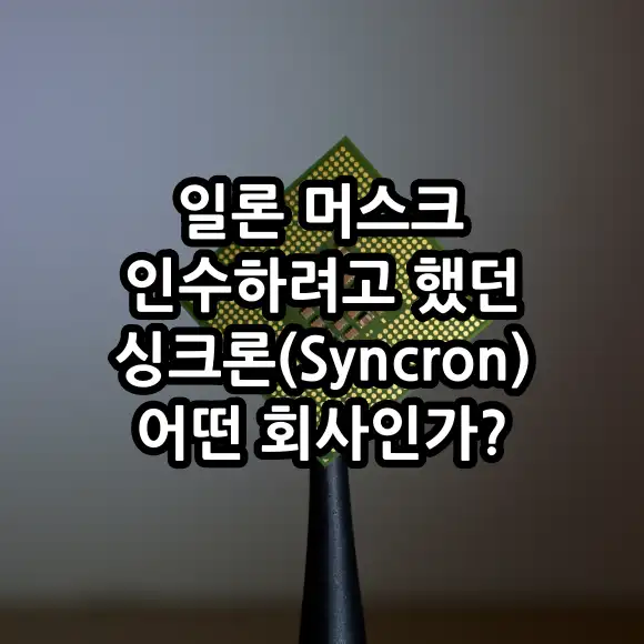 일론 머스크 인수하려고 했던 싱크론(Syncron) 어떤 회사인가?