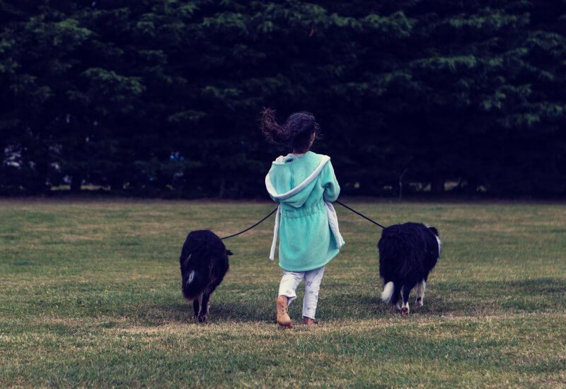 들판위를-강아지와-함께-걷는-아이