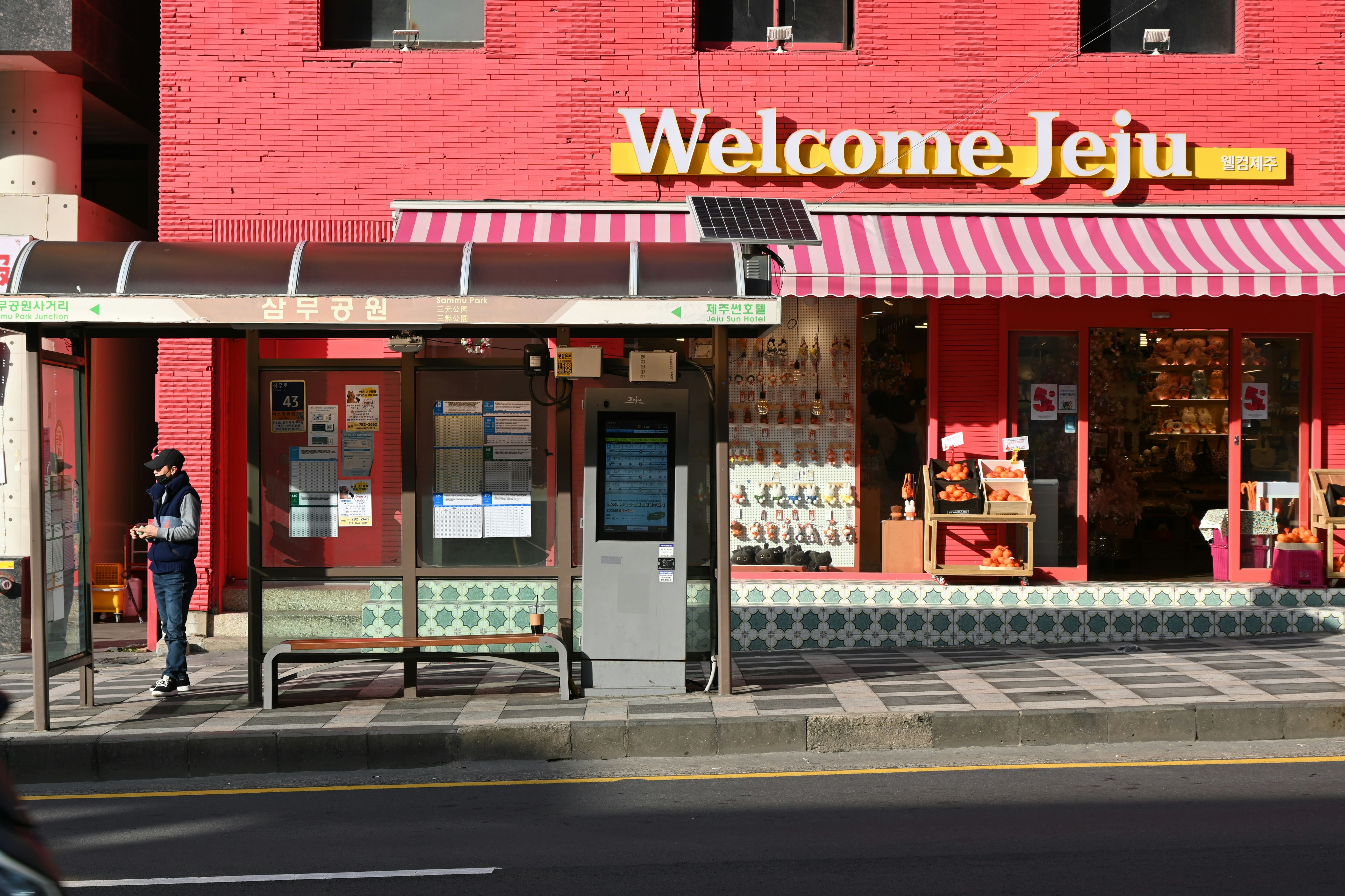 제주 버스 여행 정리 (렌터카 없이 관광지 가는 방법)