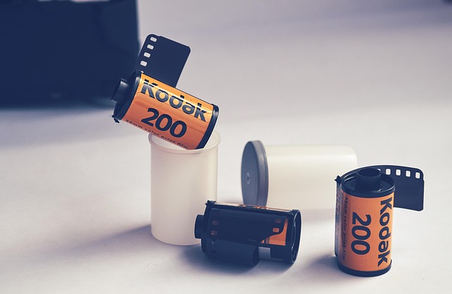 고등학교 캣피싱 사건의 교훈 관련 이미지