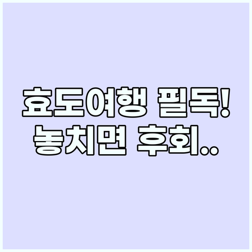 가장 값진 선물 부모님 효도 여행 성..