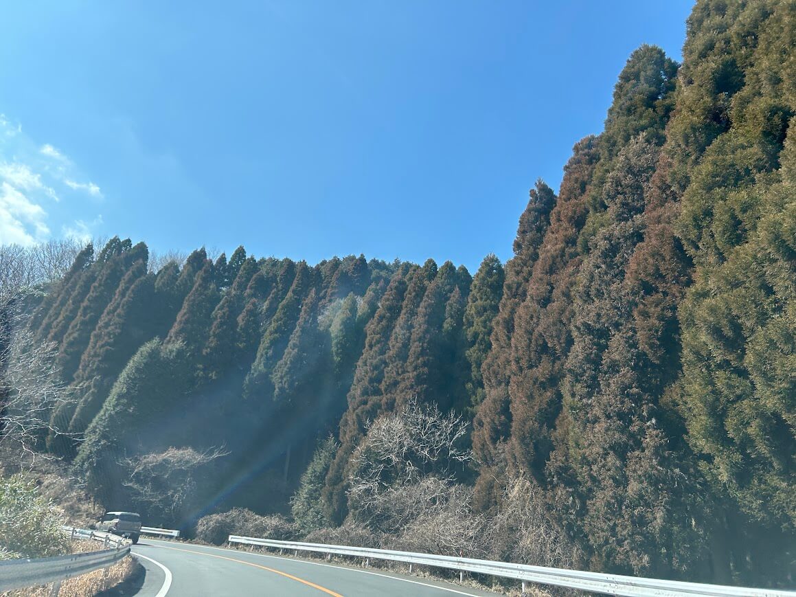 항공 저렴한 구마모토 2박 후 후쿠오카 버스 이동&amp;#44; 사케 성지 방문 후기 관련사진