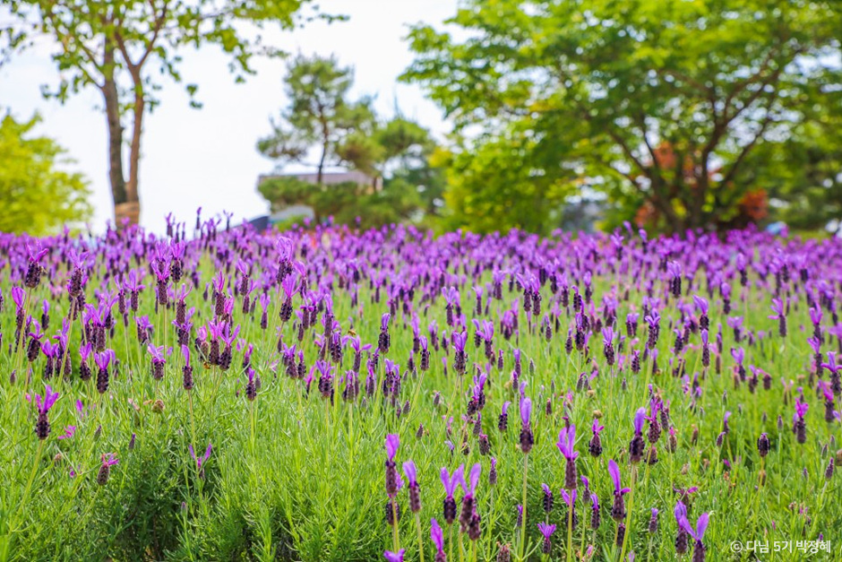 남원 가볼만한곳 베스트10