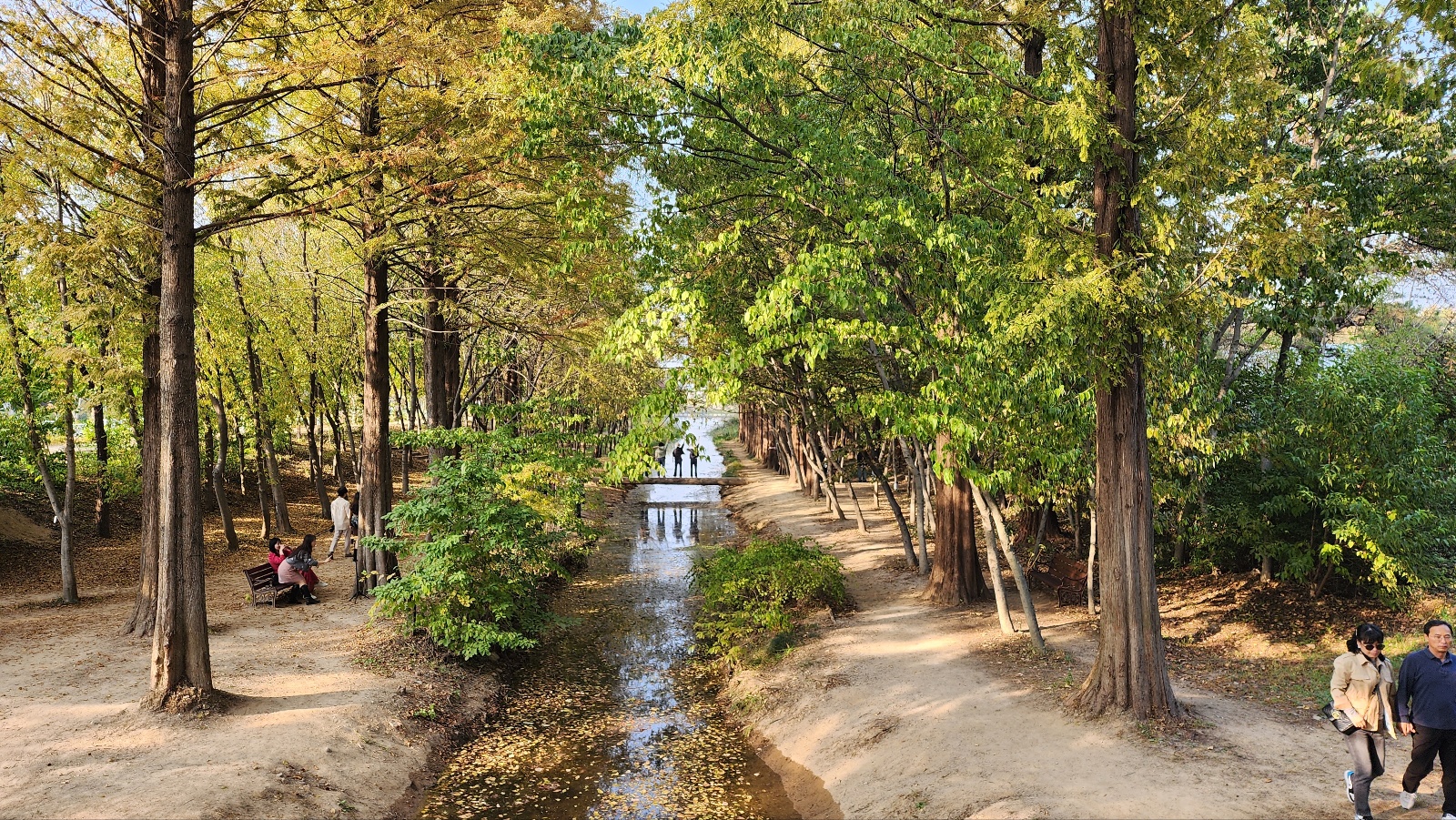 경북 천년숲 정원 6