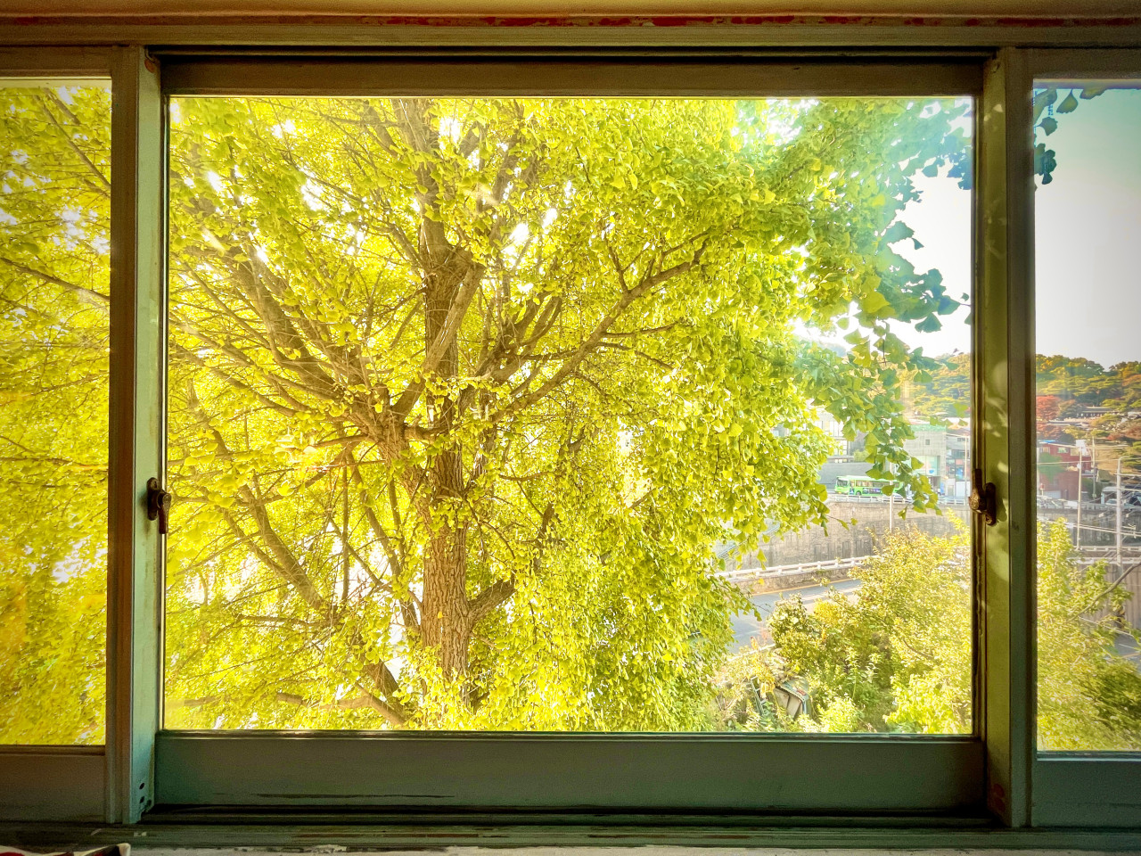 부암동 제비꽃다방