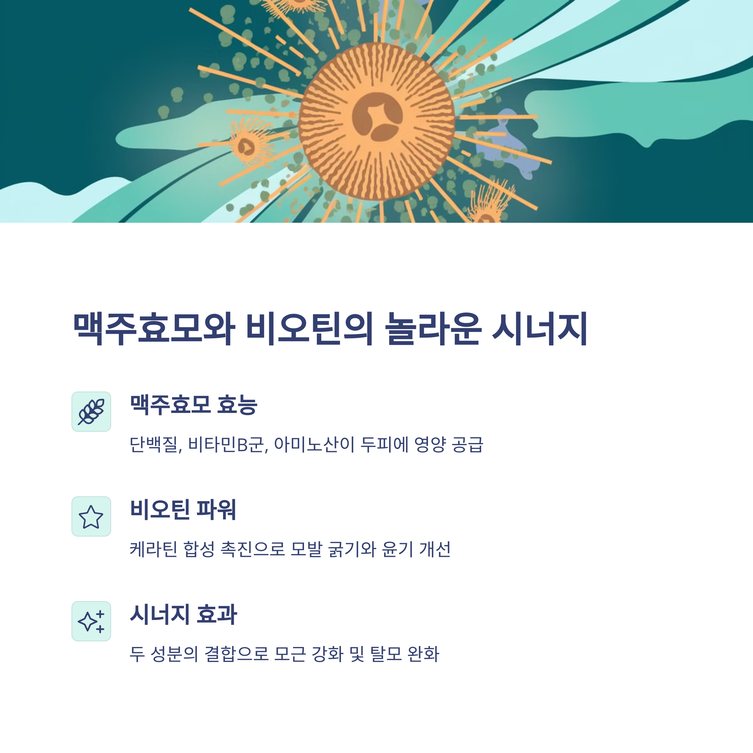 맥주효모 비오틴 탈모 샴푸 트리트먼트로 두피관리