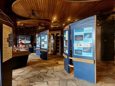 하나우마베이안내