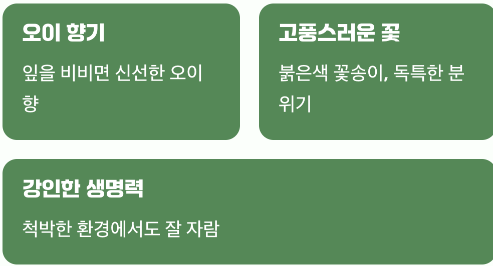 이름처럼 싱그러운, 오이풀의 매력