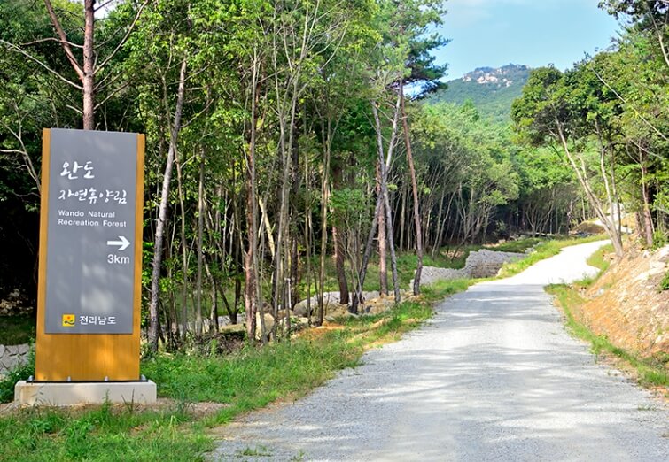 완도 가볼만한곳 베스트 10