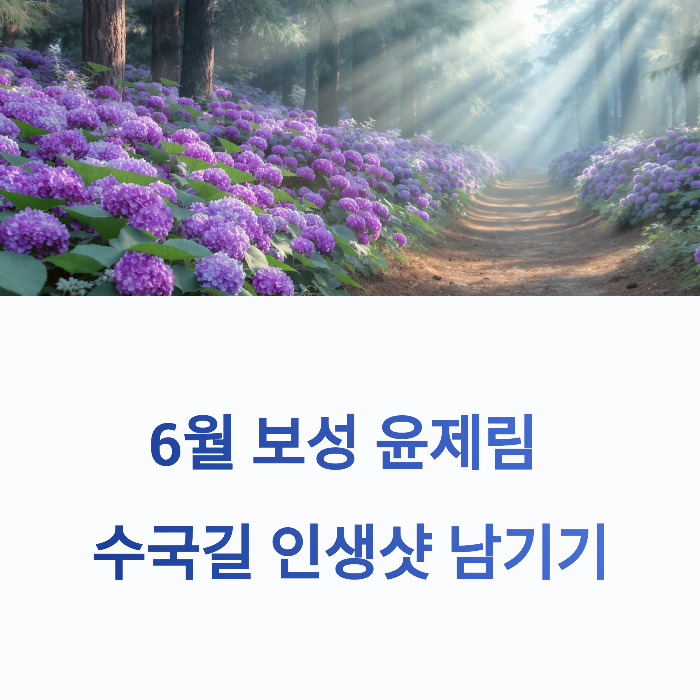 6월, 수국이 만개한 윤제림