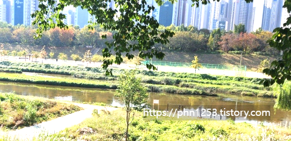 Alt 속성 문제 해결 설명 이미지