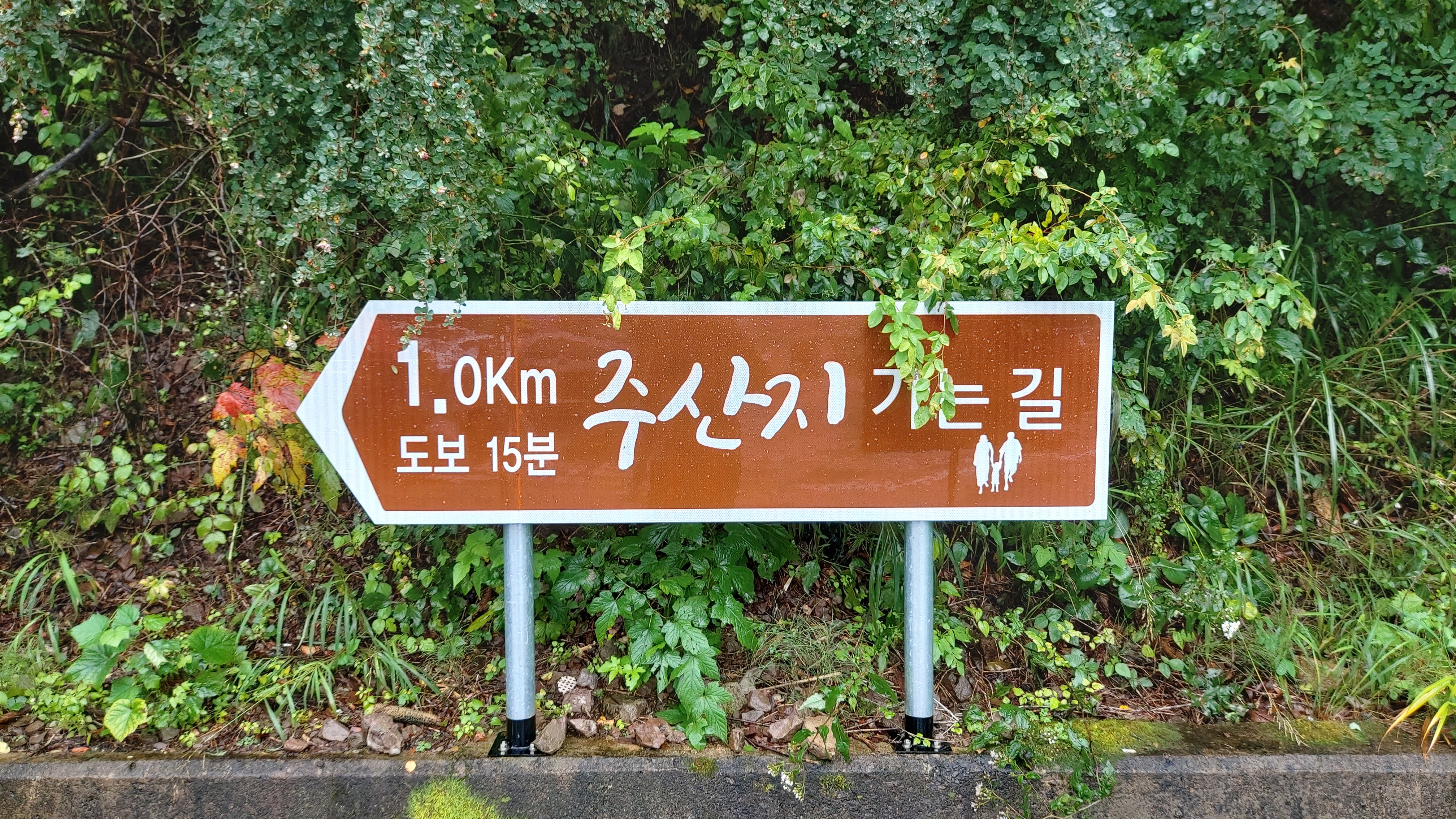 주차장에서 주산지까지 15분거리