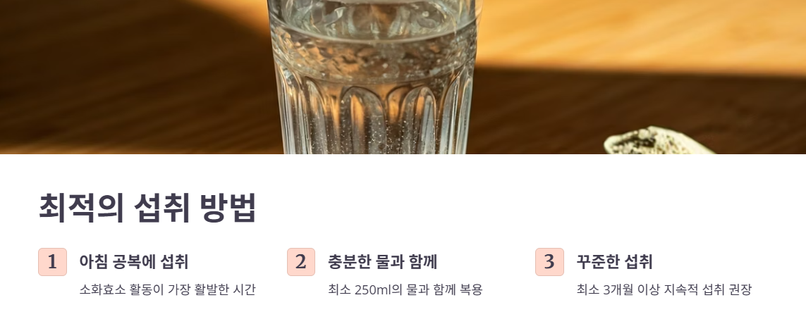 현명하게 카무트효소 섭취하는 방법