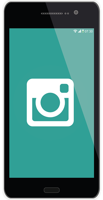 인스타그램 관련 이미지