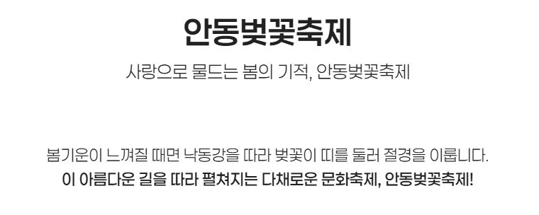 안동 벚꽃 축제