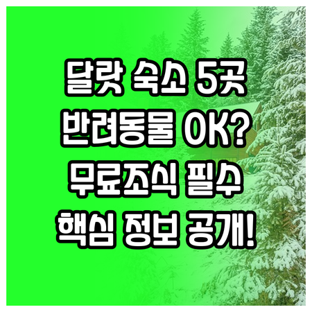 달랏 숙소 5곳 비교 분석 무료 조식..