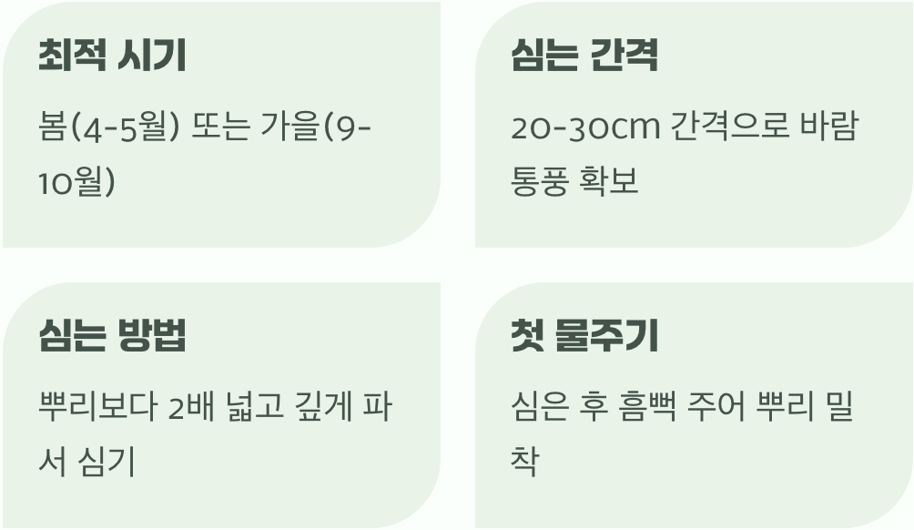 성공적인 첫걸음, 옮겨 심기