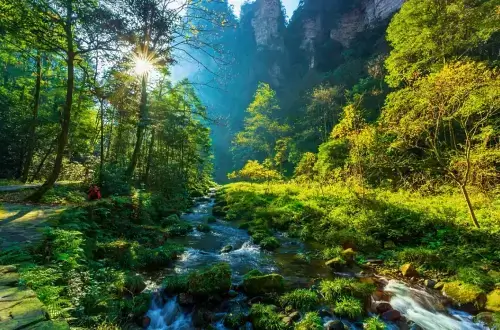 따스한-햇살과-풍성한-숲에-둘어싸인-금빛으로-반짝이는-금편계