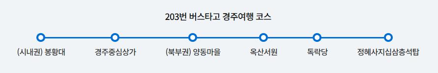 경주203번 버스노선