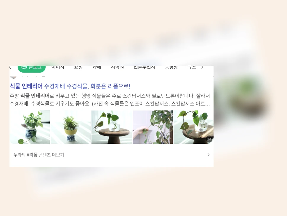 식물 인테리어_1_subsection