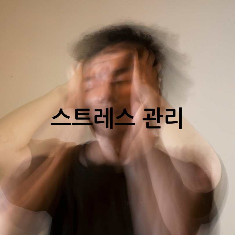 혈관건강관리