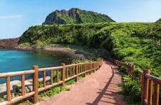 렌트카보다 획기적인!!! 제주 단체 여행법! 제주미니버스렌트업체 Top5 