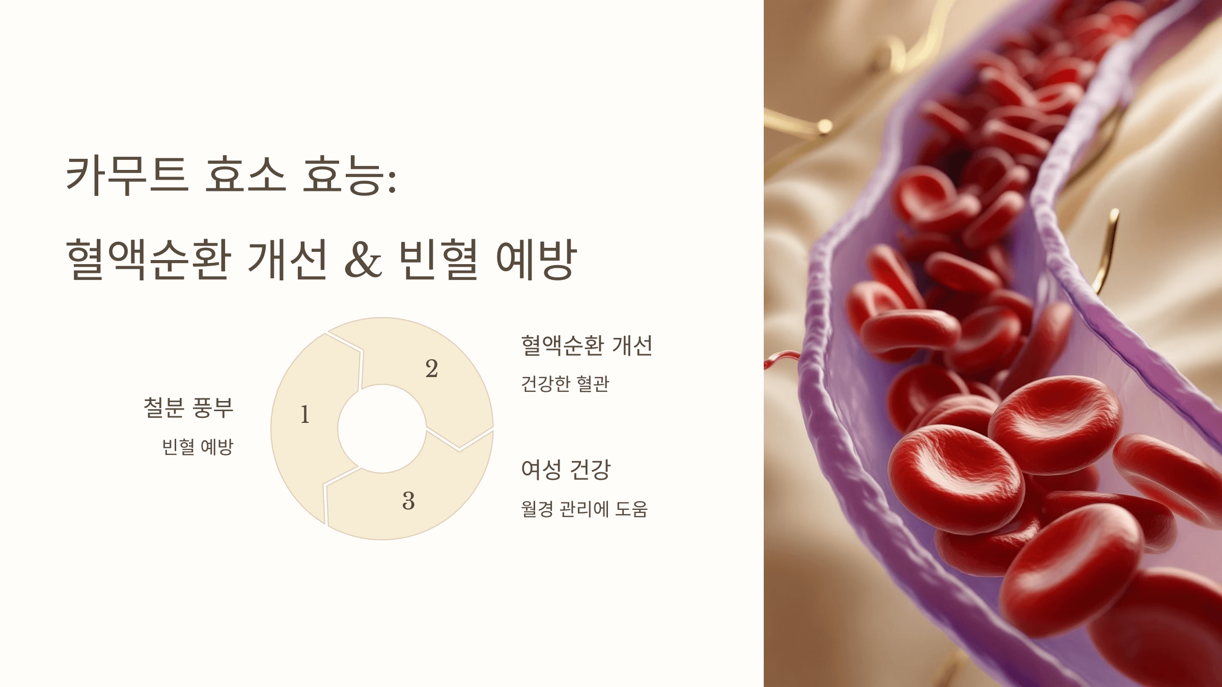 카무트 효소와 관련된 사진입니다.