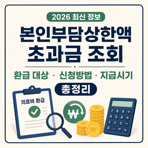 본인부담상한액 환급 안내 인포그래픽