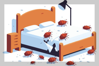 쯔쯔가무시병의 증상과 치료