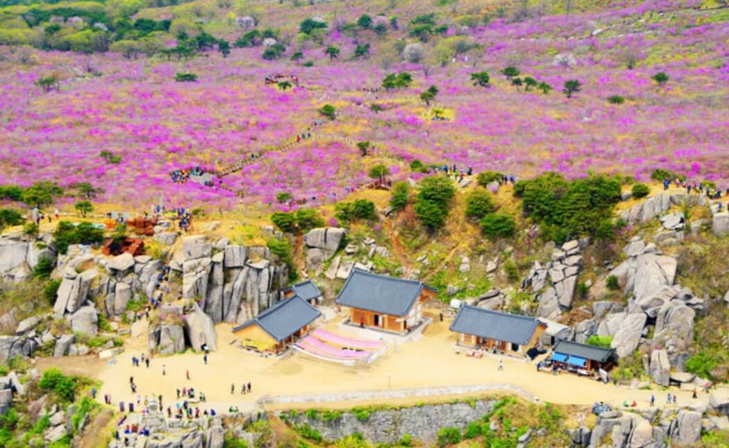 비슬산 등산코스