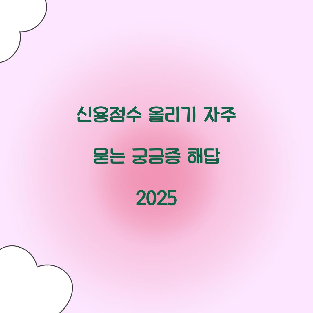 신용점수 올리기